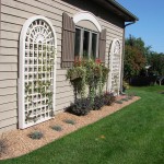 Backyard Climbing Vines Landscape Design Minneapolis