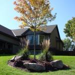 Tree Plant Landscaping Minneapolis, MN