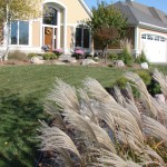 Frontyard Landscaping Minneapolis, MN