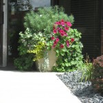 Commercial Landscape Design Annual Minneapolis