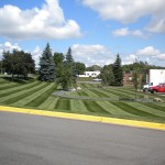 Commercial Turf Landscape Design Minneapolis