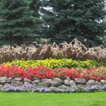 Commercial Annuals Landscape Design Minneapolis