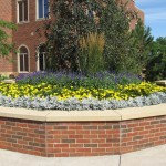 Commercial Annuals Landscape Design Minneapolis